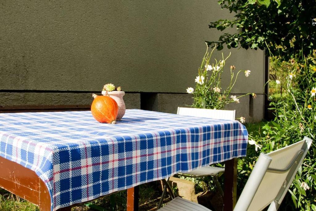 Cozy Rooms In Nature, Perfect For Relax إليرسكا بسترتشا المظهر الخارجي الصورة