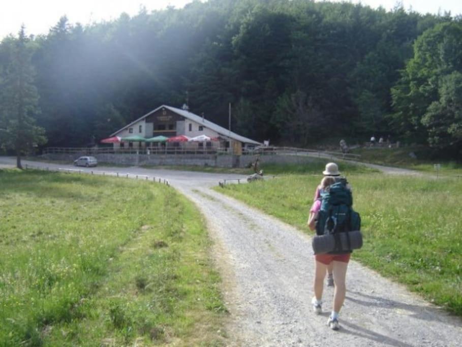 Cozy Rooms In Nature, Perfect For Relax إليرسكا بسترتشا المظهر الخارجي الصورة